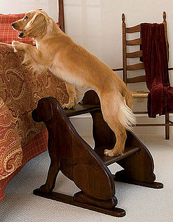 Pampered Pals: Lab Step Stool