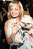 Trend Setters: Here Comes the... Dog