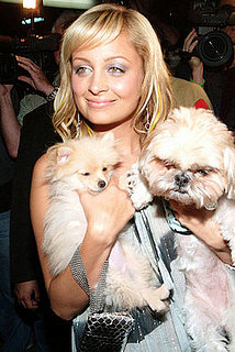 Trend Setters: Here Comes the... Dog