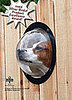 Pet Peek: Spoiled Sweet or Spoiled Rotten?