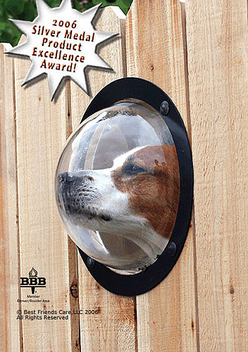 Pet Peek: Spoiled Sweet or Spoiled Rotten?