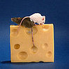 Do You Have a Favorite Rodent?