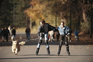 Busy Bees: Dogs Across America