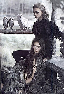 Do You Wear Fur?