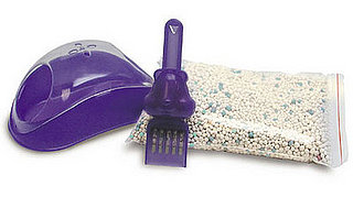 Hamster Potty: Spoiled Sweet or Spoiled Rotten?