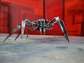 Wild Art: Scissor Spiders