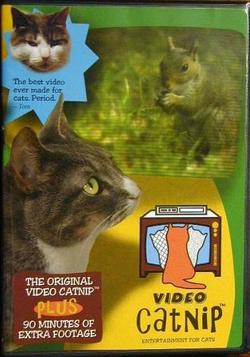 Video Catnip: Spoiled Sweet or Spoiled Rotten?
