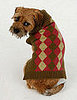 Trend Setters: Preppy Pets Rock... Argyle