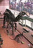 Out and About: Connecticut's Peabody Museum 