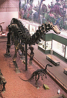 Out and About: Connecticut's Peabody Museum 