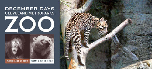 Out and About: Ohio's Cleveland Metroparks Zoo