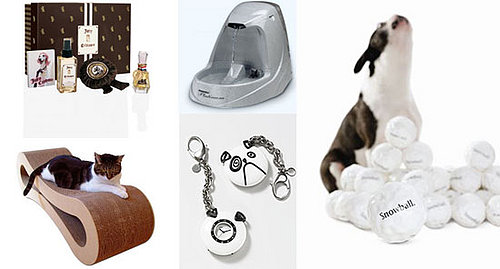 Pet's December Must Haves