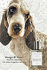 Petit Amande: Spoiled Sweet or Spoiled Rotten?
