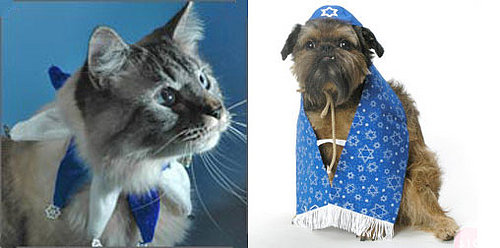 Pet Present Extravaganza: Hanukkah for Pets (Day 3)