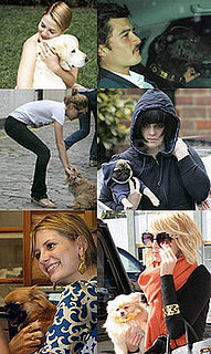 Best Celeb and Pet Twinsies?