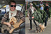 Yum! Taco . . . and Better Get a Tree