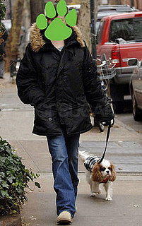 Guess Whose Dog?