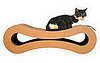 Whose Sweet Kitty Wants to Win?