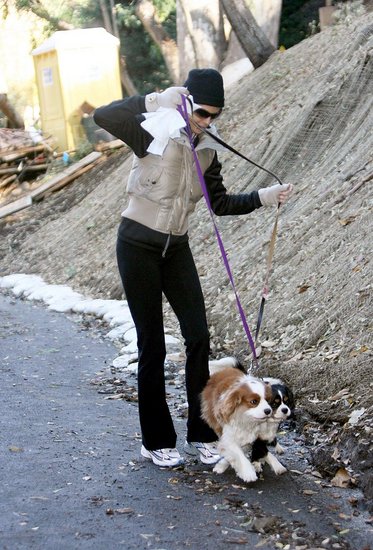 teri hatcher dog walk 091207 teri hatcher dog walk 091207