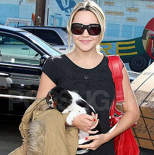 The Results Are in: Puppy of the Year