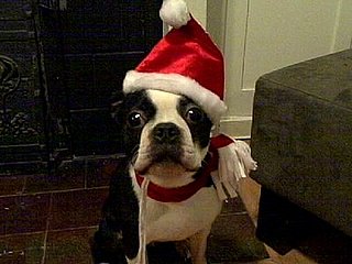Christmas Presents – Yum!