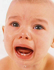 Teething Bites Teething Bites