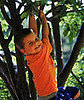 Why Didn't Anybody Tell Me: Lil Climbers