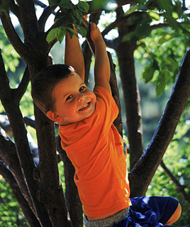 Why Didn't Anybody Tell Me: Lil Climbers