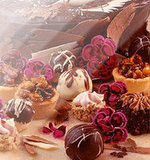 Chocolate fantasy