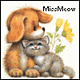 MissMeow