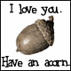 amyacorn amyacorn