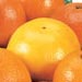 fruityjen