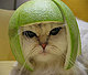 danimitch028's picture