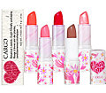 Cargo's Earth Friendly Lipstick