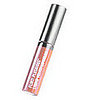 Product Review: Flirt! Cosmetics Plushious Lip Gloss 