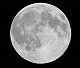 moonlite