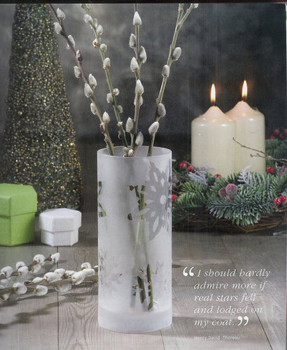 Frosted Snowflake Vase