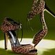 shoe_girl shoe_girl