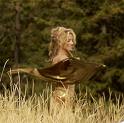 Dancing with Nature
