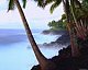 island_babe_8707