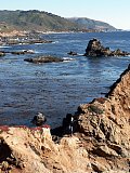 Hiking with Boy in Monterey
