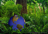 What are your green resolutions for 2008?