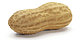 PEANUT 85