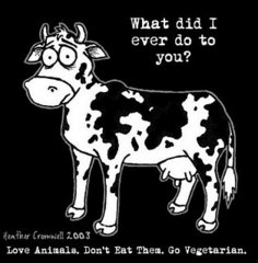 Are you a vegetarian?