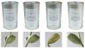 Crave Worthy: Message Bean
