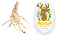 Trend Alert: Reimagined Hunting Trophies