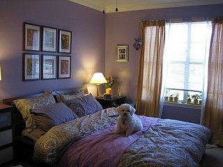 Su Casa: Purple Post-College Bedroom