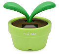 Love It or Hate It? Flip Flap Plant   