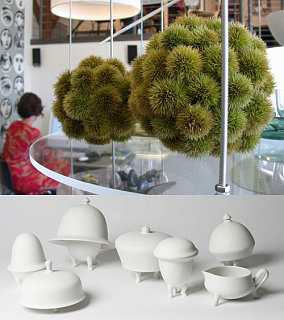 Casa Shops: Rose and Radish