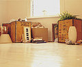 100 Reasons to Get Rid of Stuff